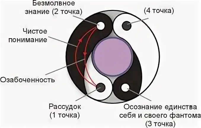 Точка знаний