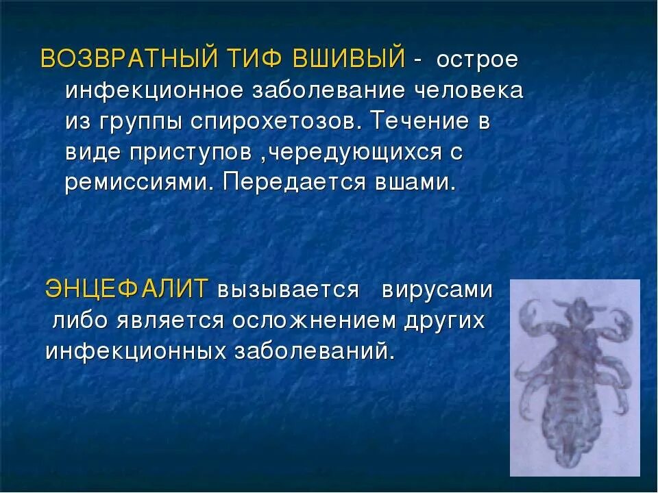 Тиф это что за болезнь простыми словами. Тиф это что за болезнь простыми словами. Симптомы брюшного тифа кратко. Тиф это что за болезнь простыми словами. Тиф это что за болезнь простыми словами.