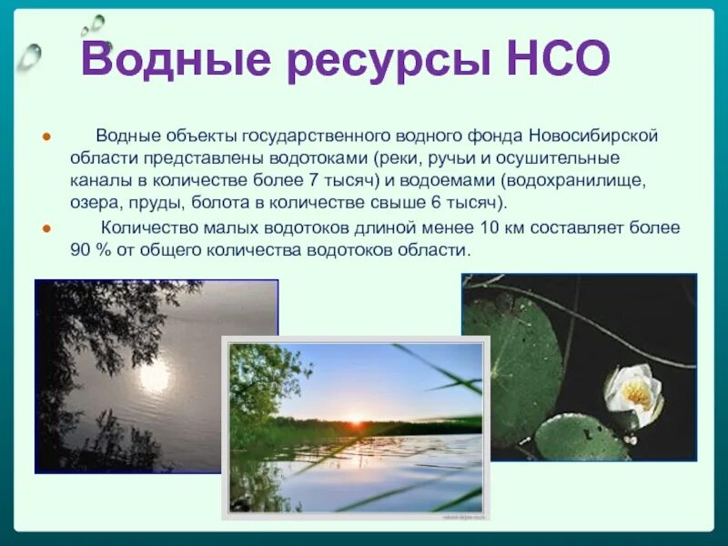 Водные богатства новосибирской области