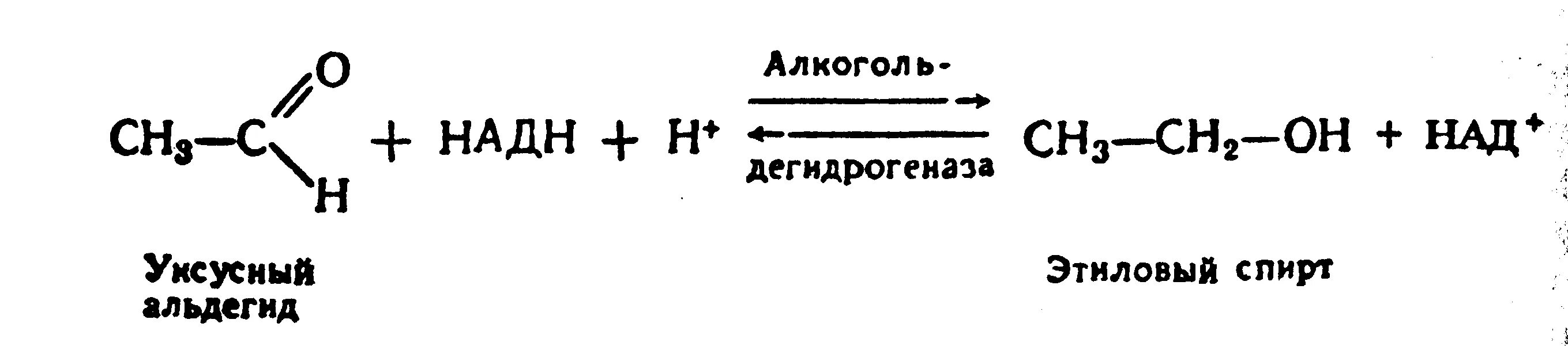 Уксусный альдегид из этилового спирта. Реакция из этилового спирта в уксусный альдегид.