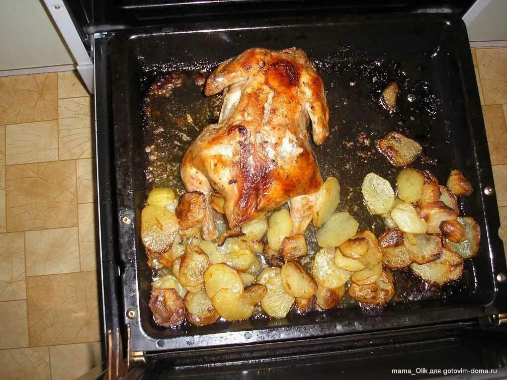 Курица в духовке. Курица на Протвине. Курица запеченная в духовке. Курица с картошкой в духовке.