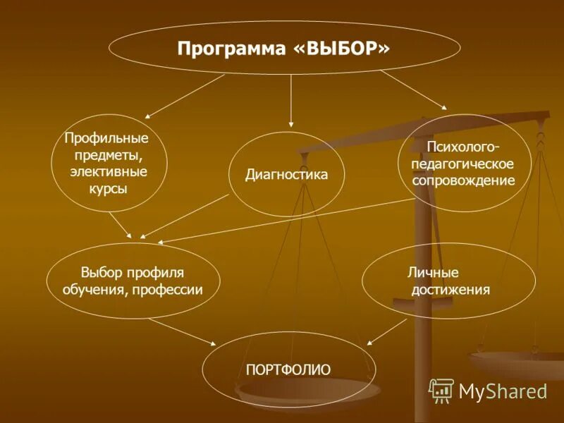 Специальности по предметам. Выбор профильных предметов. Количество предметов в неделю. Профильные классы 9. Выбор профильных предметов.