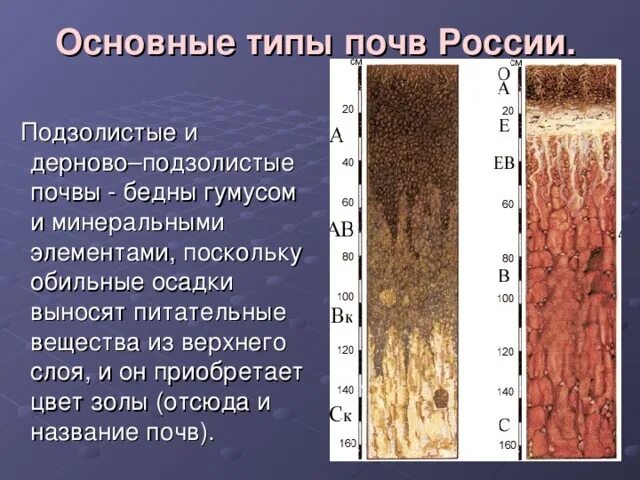 Типы почв республика адыгея фото почв География 8б класс, 21.04.20 год: Типы почв Донецкого региона. Карта почв.