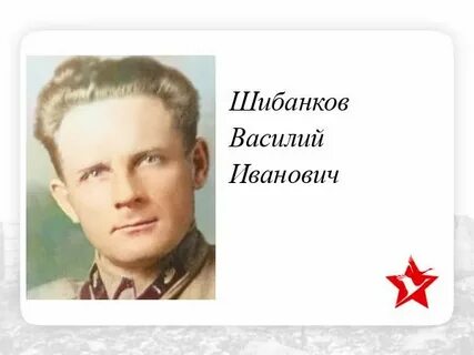Шибанков наро фоминск