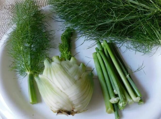 Herb кэш: 20 сортов 12,000 семян лекарственных/кулинарных без ГМО выживания семе