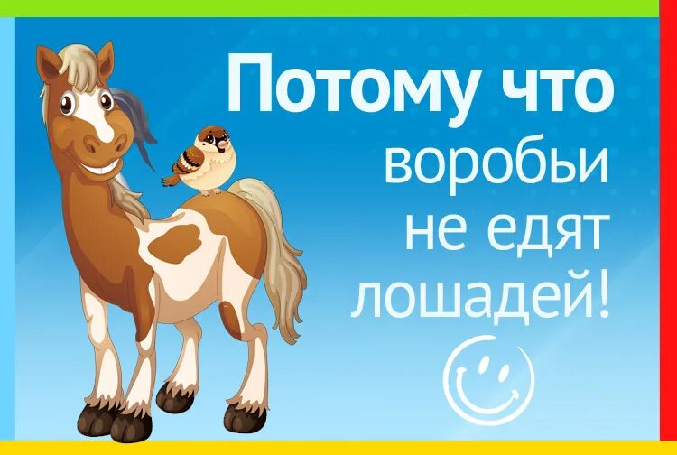 Воробей может съесть горсточку зерна. Воробей может съесть горсть зерна а лошадь не может. карта не лошадь к утру повезет. загадка воробей может съесть горсточку зерна а лошадь не может почему. воробей может съесть горсть зерна а лошадь не может почему.
