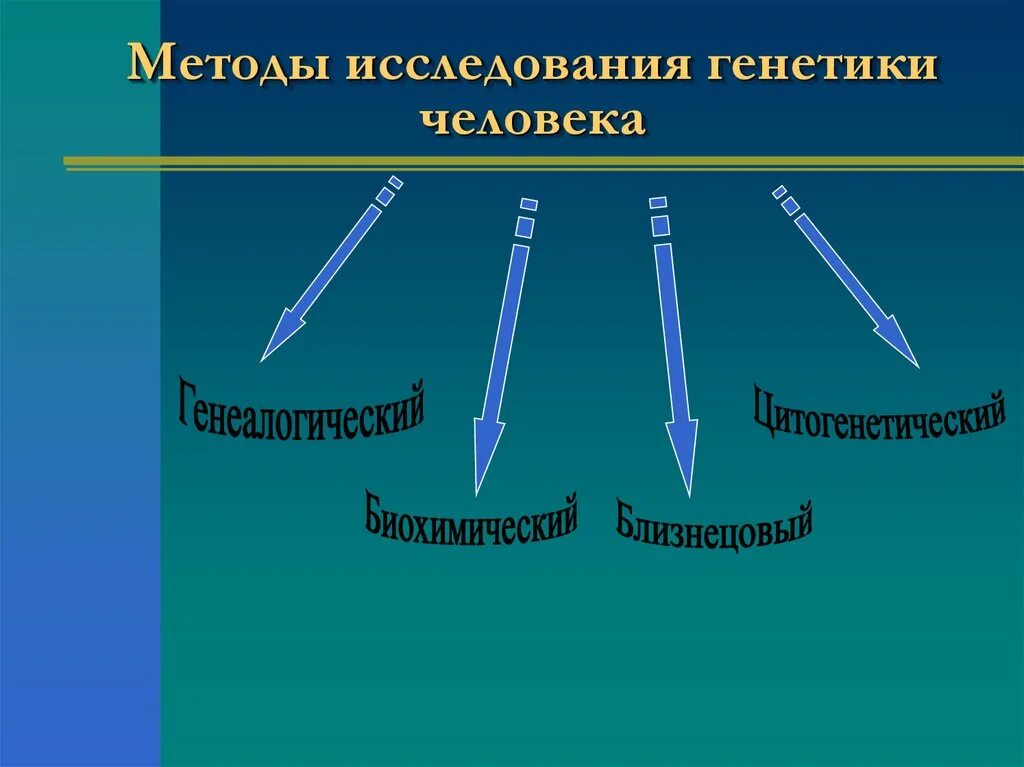 Какой метод генетики используют. Методы изучения генетика человека. Методытгенетики человека. Метод исследования генетики. Метод изучения генетики человека.