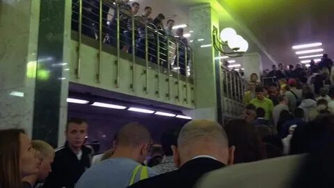 Серая ветка что случилось