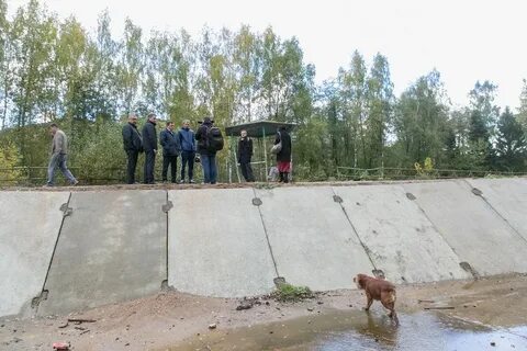 Строй оз