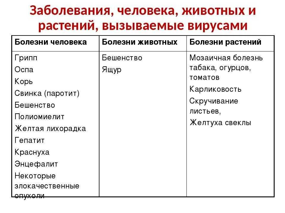 Основные вирусные заболевания человека. Таблица заболевания вызываемые вирусами растения животные человек. Болезни человека вызываемые вирусами таблица. Заболевания растений животных и человека. Болезнь животных,растений вызываемые вирусами.