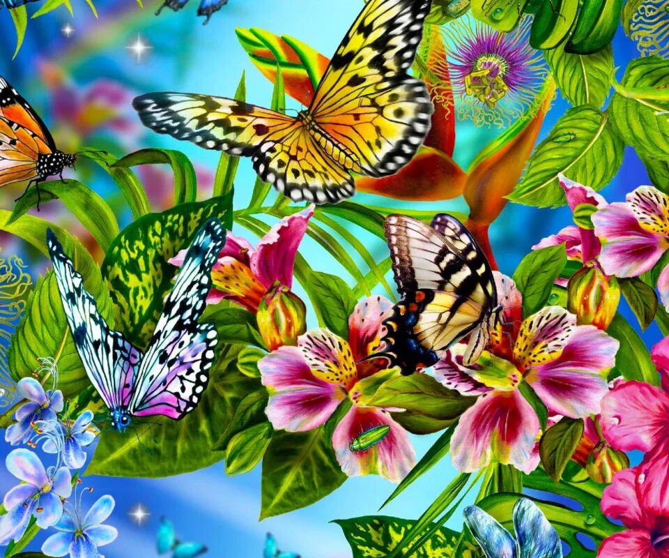 Видео бабочки и цветы. Красивые цветы и бабочки. Яркие бабочки. Лето цветы бабочки. Яркие цветы и бабочки.