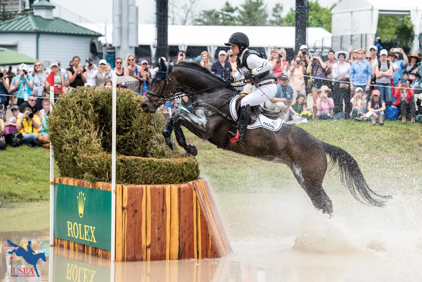 3 day eventing. V[F'km ZYU. Троеборье конный спорт. Троеборье кросс. Награждение лошади.