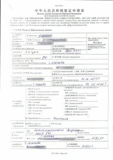 Виза в китай пример заполнения анкеты 2024