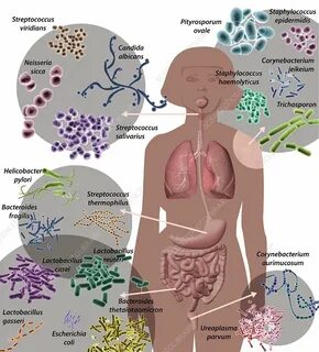 Staphylococcus у мужчин