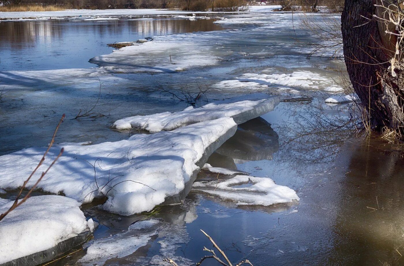 Сильное таяние снега. Весенние ручьи Тютчев. Весенние воды Тютчев. Весенние ручьи. Талые воды.