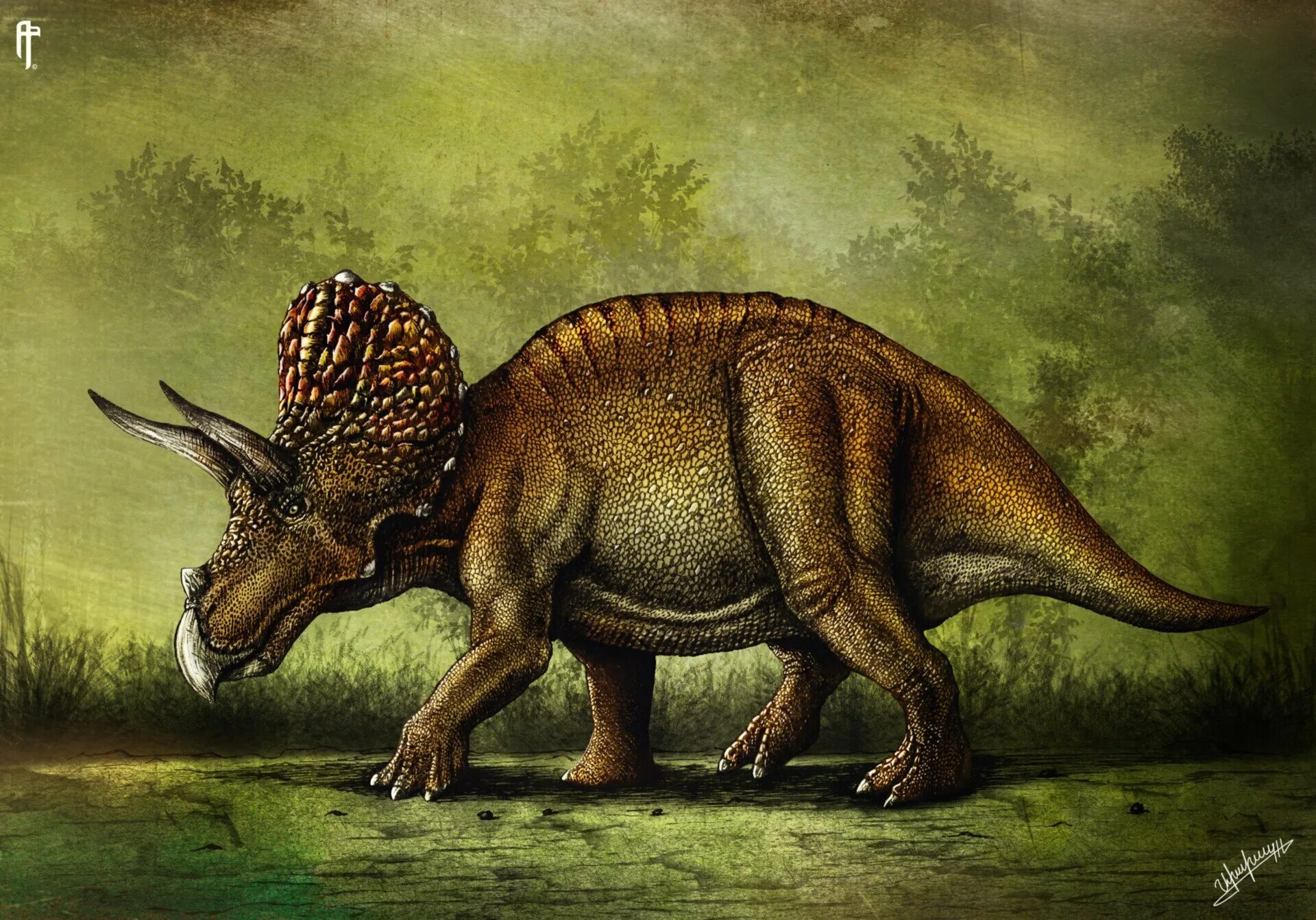 Про трицератопса. Трицератопс хорридус. Травоядные динозавры Трицератопс. Трицератопс Юрского периода. Трицератопс Эра.