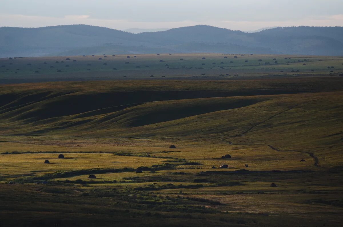 кулундинская равнина алтайский край. степи объект. ковыльная степь хакасия. казахстан степная равнина. оренбургские степи ковыль.
