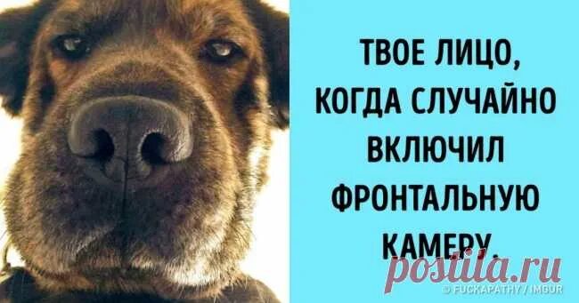 Когда включил фронтальную. Включи случайное. Попугай мем. Включить фронтальную камеру. Когда случайно включил фронтальную.