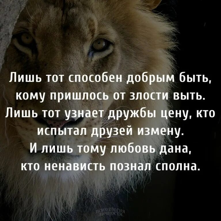 стихи расула гамзатова берегите друзей. знать цену дружбе. лишь тот способен добрым быть кому пришлось от злости. знать цену дружбе. знай мой друг вражде и дружбе цену и судом поспешным не.