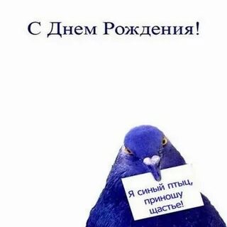 Поздравление с иронией