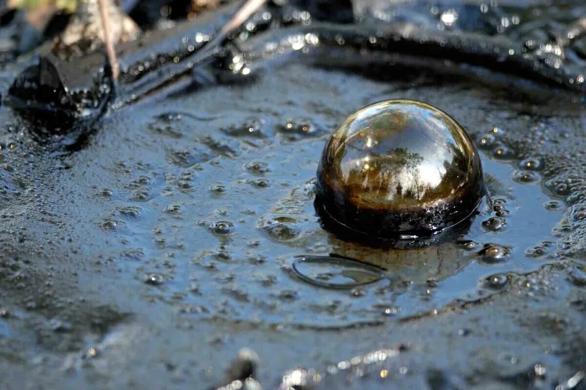 Капли дождя падают на землю. Капля нефти. Капля воды. Пузыри в воде. Капля воды на поверхности.