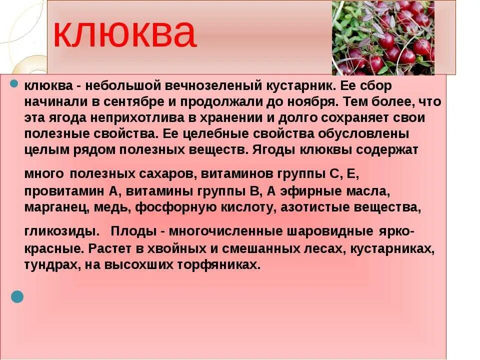 Клюква доклад. Клюква презентация. Рассказ о клюкве. Сообщение о клюкве.