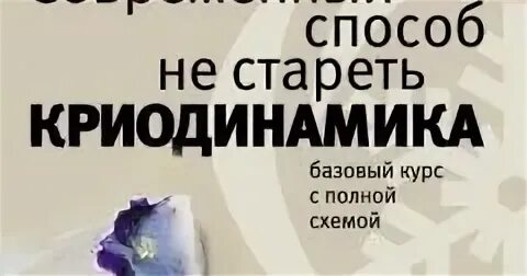 Курс 98 года. Криодинамика Никитин. Криодинамика по Никитину схема. Никитин - современный способ не стареть. Криодинамика отзывы.