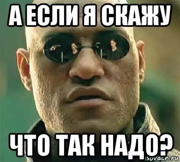 Просто потому что давали. Так надо мем. так надо картинки. потому что так надо мем. надо так надо мем.