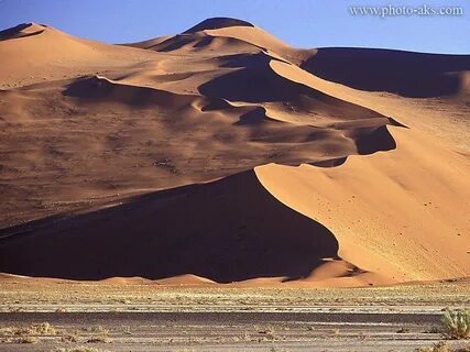 Desert world