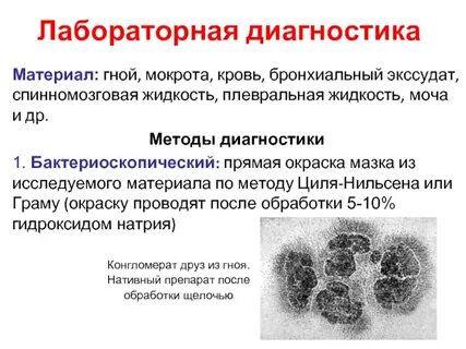 Тесты нмо с ответами лабораторная диагностика мокроты