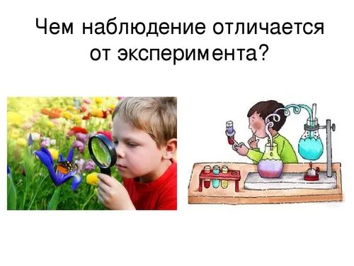 Опыт и эксперимент в чем разница. Отличие эксперимента от наблюдения. чем наблюдение отличается от эксперимента. чем отличаются наблюдение и эксперимент. чем отличаются наблюдения от опытов.