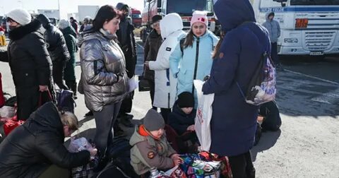 Куда привезли беженцев