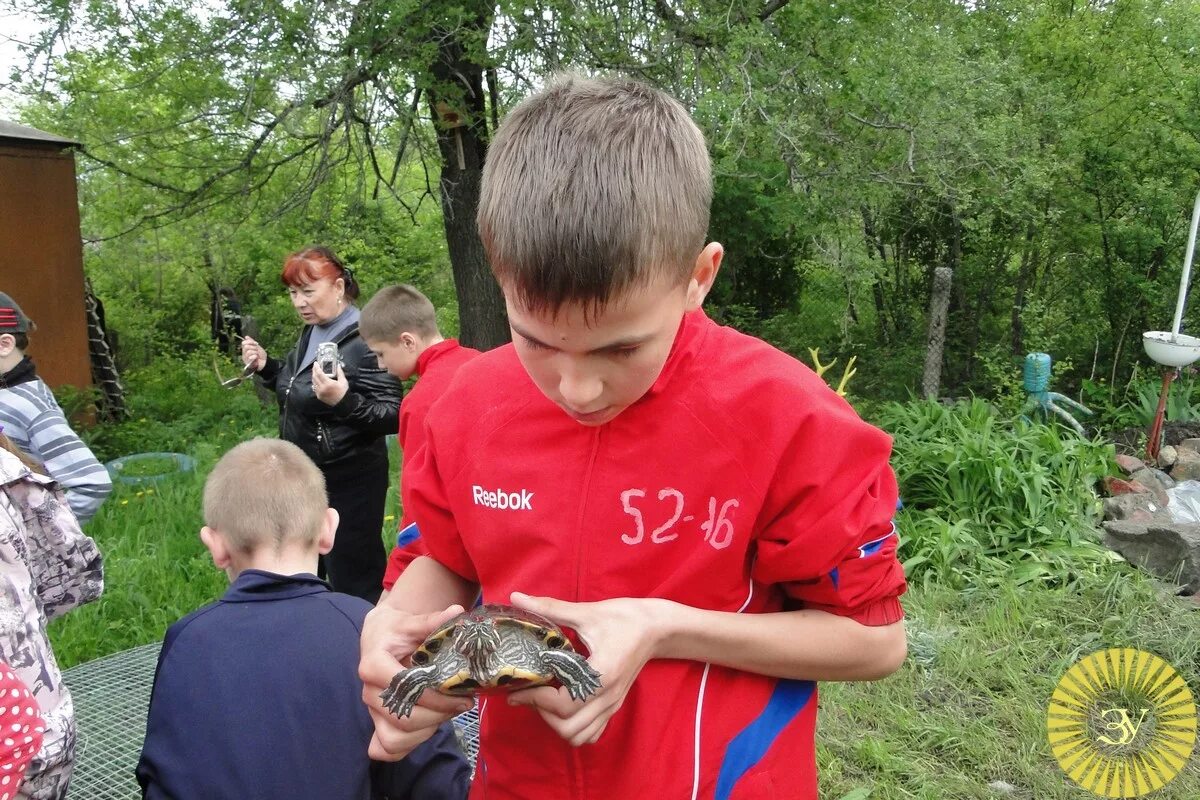 юный натуралист ссср. станция юных натуралистов ссср. посадка деревьев на станции юннатов. юннат конкурс. юннаты россии.