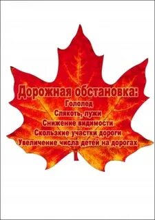Рекомендации водителям осенью