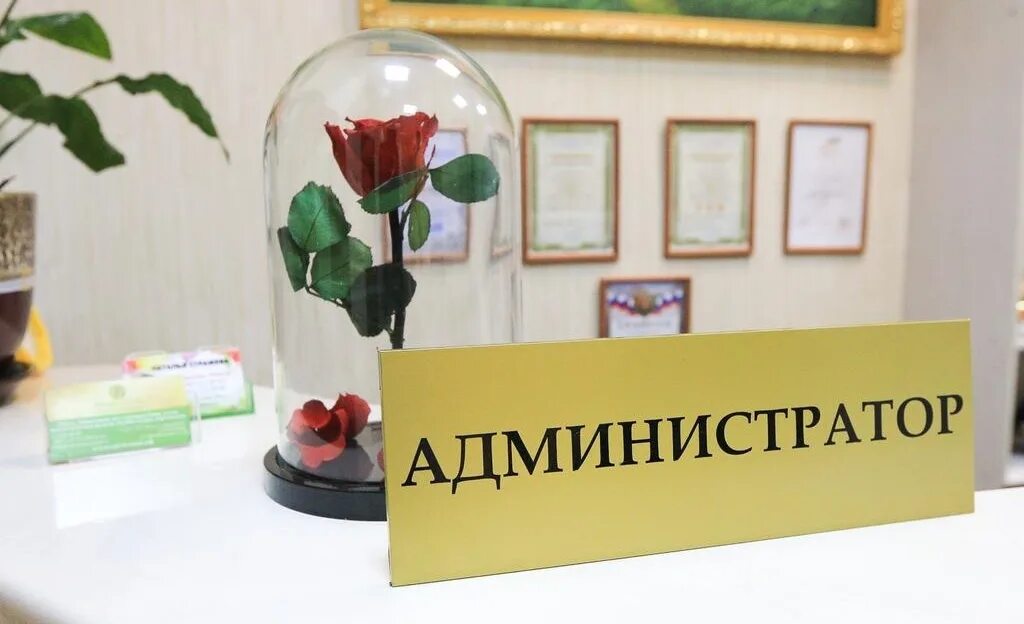 Сотрудники отеля. Администратор отеля. Девушки на ресепшене в отеле. Ресепшн в отеле администратор. Сотрудники ресепшн в гостинице.