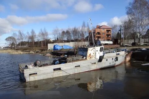 Костромич