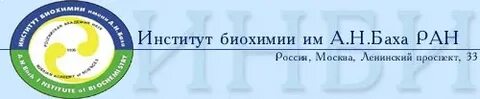 Институт биохимии
