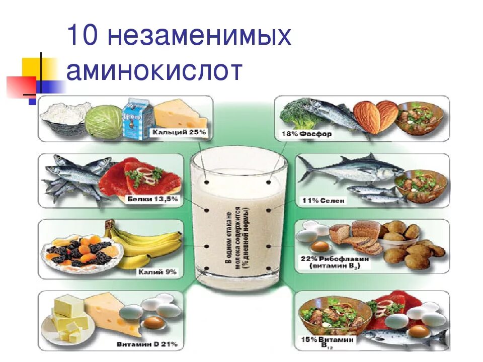 Незаменимые аминокислоты микроэлементы и. Незаменимые аминокислоты. заменимые и незаменимые аминокислоты. источники незаменимых аминокислот. источник аминокислот в пище.