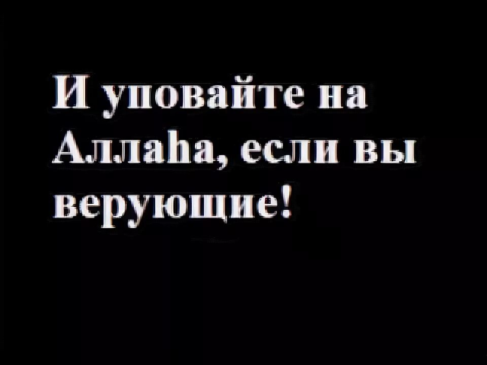 Уповать на всевышнего. Уповайте на Аллаха если вы являетесь верующими. Уповайте на Аллаха если вы верующие. Уповаю на Всевышнего. «Уповайте только на Аллаха, если вы являетесь верующими».