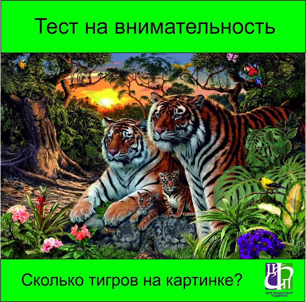 Сколько на картинке. Найди всех тигров. Сколько тигровнаквртинке. Сколько тигров на картинке. Найди тигров на картинке.