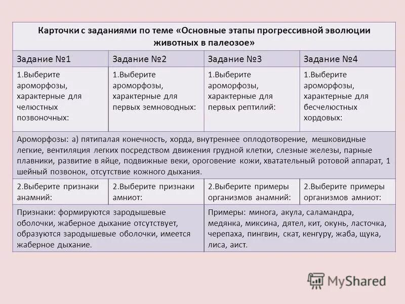 Выберите признаки характеризующие прогрессивное развитие рептилий