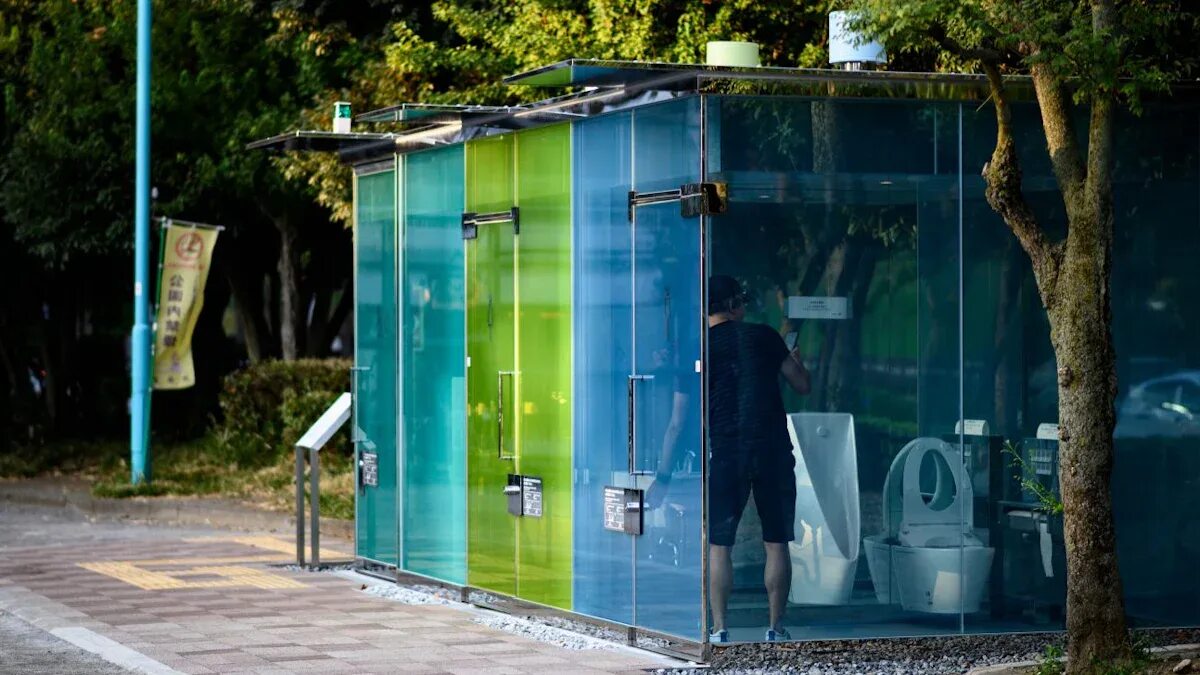 Биотуалет 2023. Bio toilet in the park 31. Туалеты в парках. Bio toilet in the park 9. Wandering bio toilet.