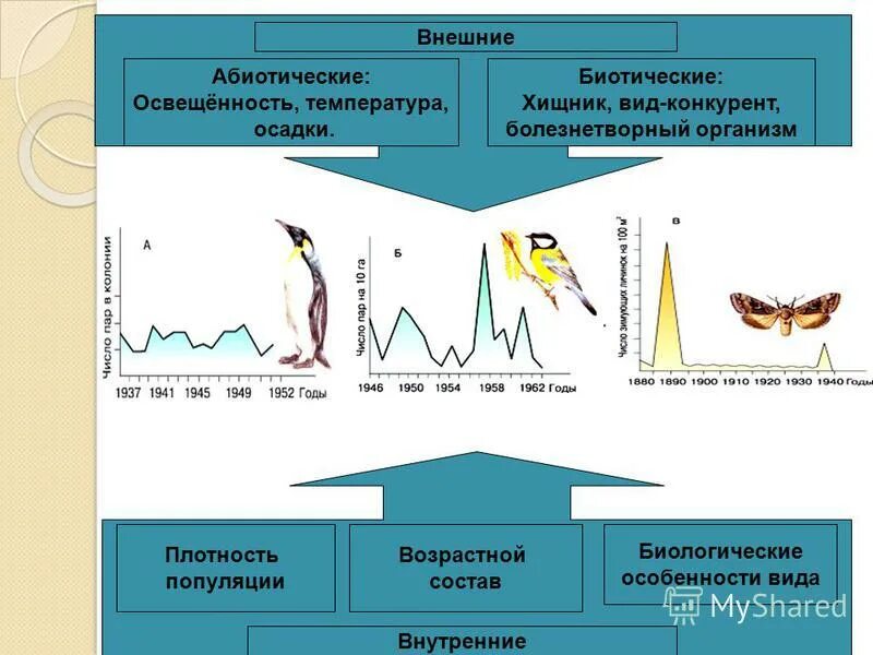 Биотический потенциал