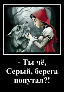 Берега попутала