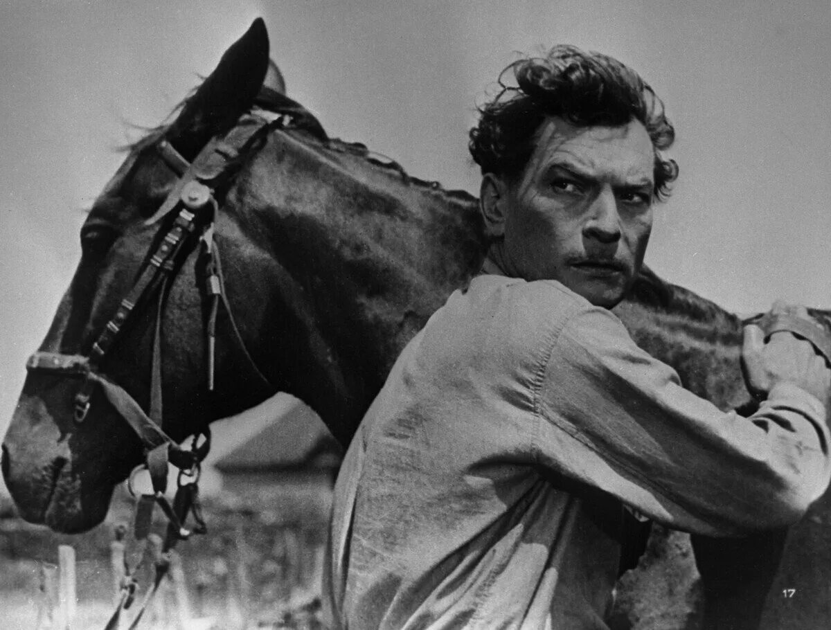 Тихий дон белые. Тихий дон 2015 казаки. Тихий дон белые. Тихий дон 1956. Тихий дон 2015 казаки.