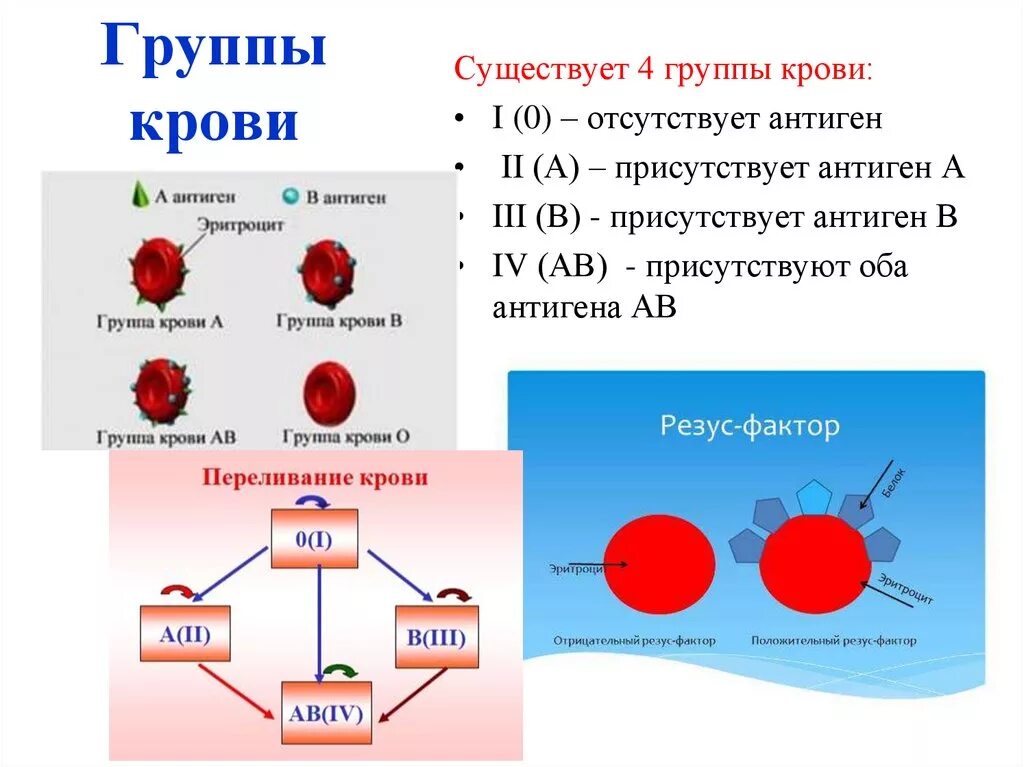 Схема группы крови резус-фактор. Классификация групп крови по системе резус. Понятие о rh+ и rh- группа крови. Схема передачи резус фактора. Что означает резус фактор