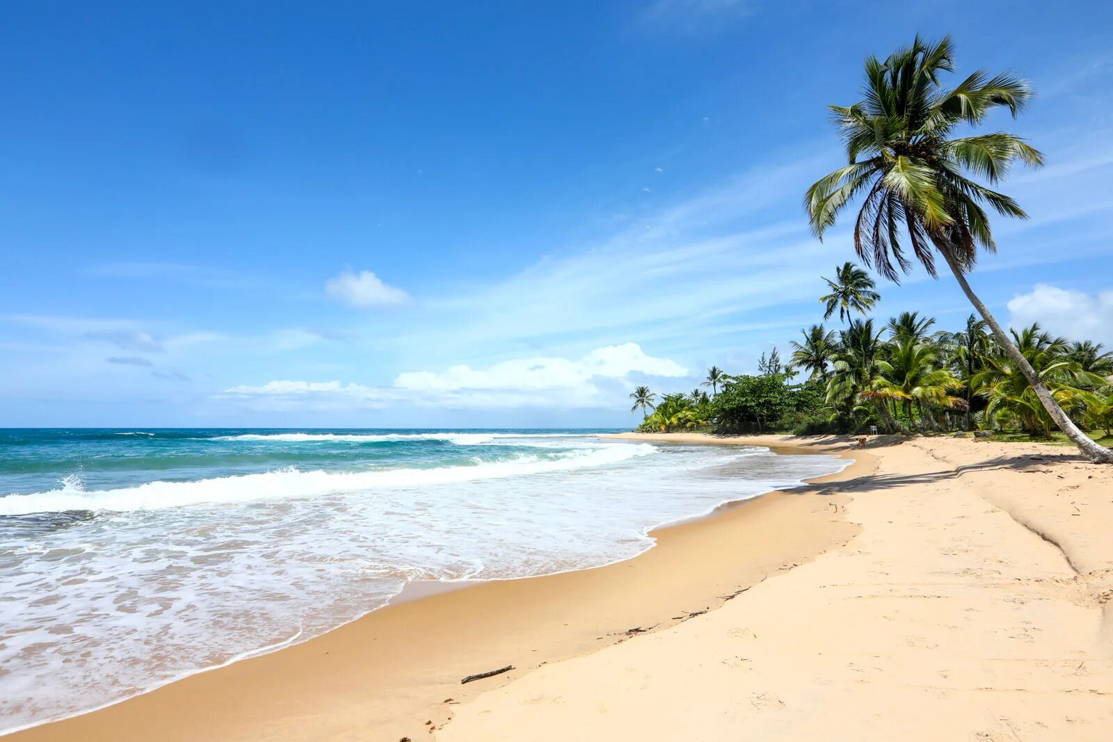 Those fora. Пляж Баия Солано, Колумбия. Praia. Худoжʜик Maraú Península. Bahia de Samborombon.