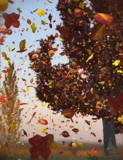 Falling leaves 1.20