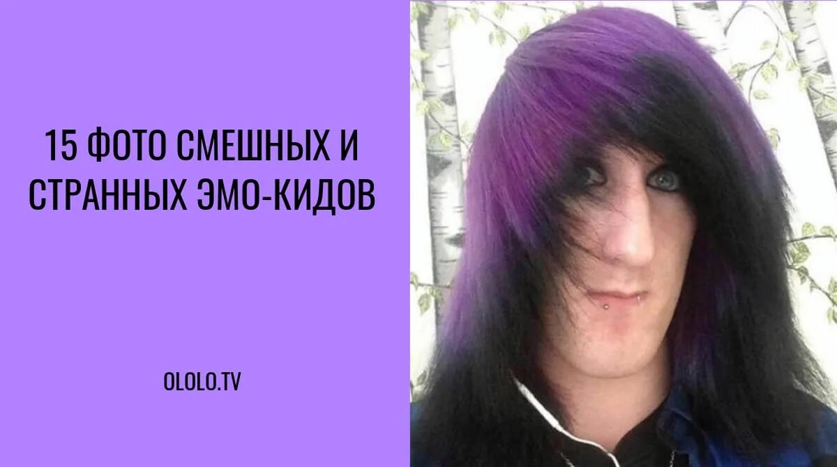 Vasya sylvia