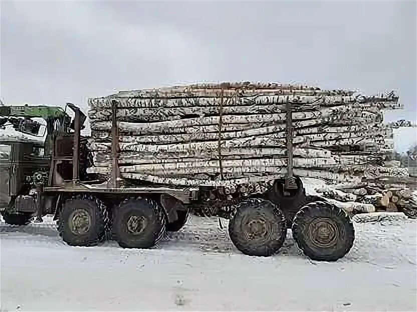 Лесовоз дров. Газель лесовоз. Лесовоз с березой. Газель под лесовоз.